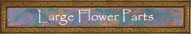 Large Flower Parts