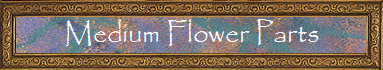 Medium Flower Parts