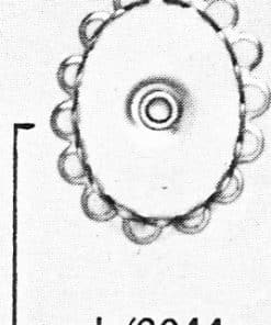 326 C2044