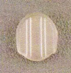 481 TP (TRANSPARENT)  12X14MM