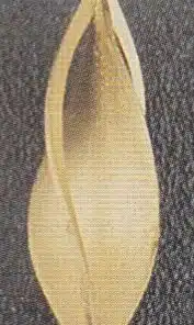 928 TS special order