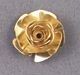 ROSE 1455