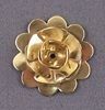 ROSE 1457