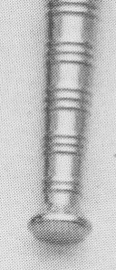 BOLO TIP C2844