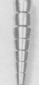 BOLO TIP C2909