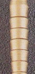 BOLO TIP W 13000 1-2