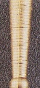 BOLO TIP W 15006 CAST