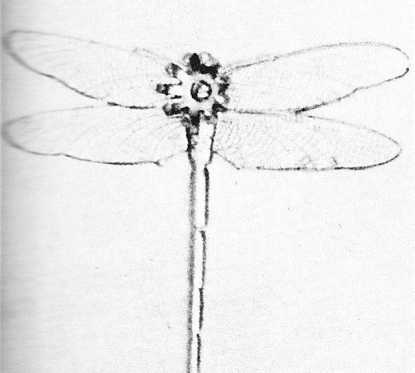 BP C1233 7MM