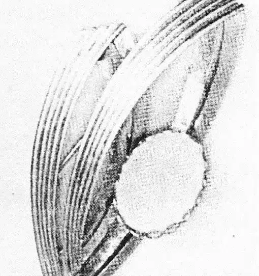 BP C1863 L18X13