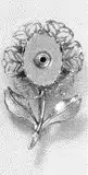 BP C3117 L18X13MM