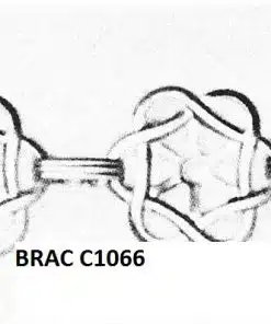 BRAC C1066