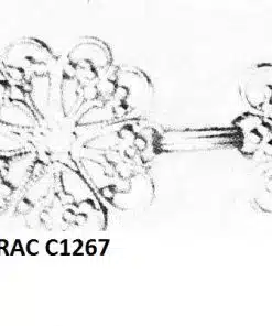 BRAC C1267