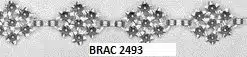 BRAC C2493