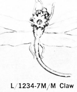 C. 1234