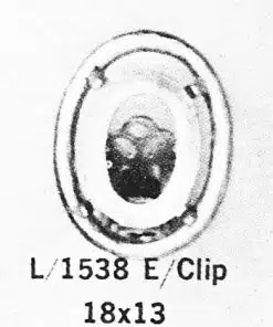 C. 1538