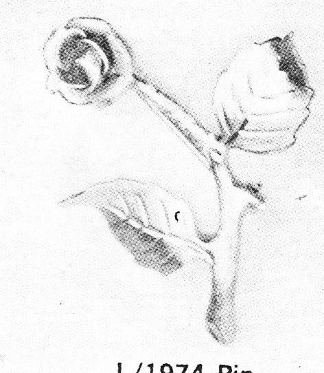 C. 1974