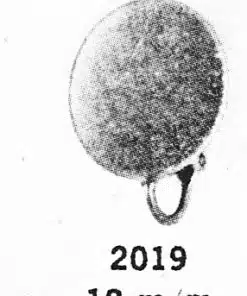 C. 2019