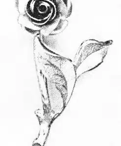 C. 2336