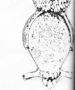 C. 2397