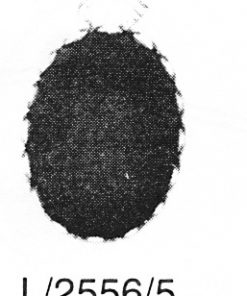 C. 2556