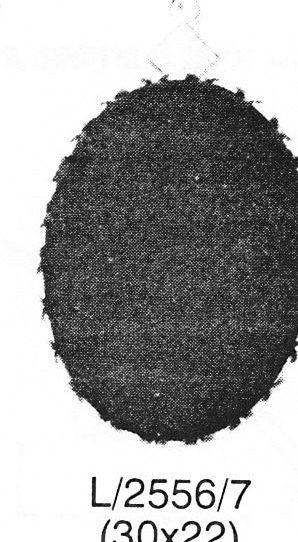 C. 2556 2