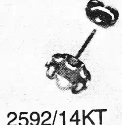 C. 2592