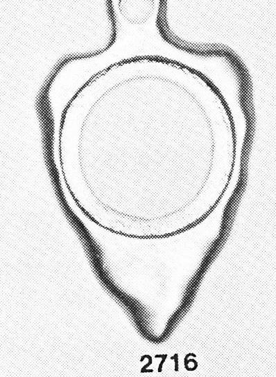 C. 2716