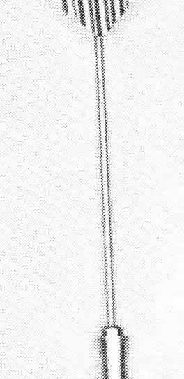 C. 2780