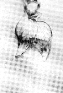 C. 2805