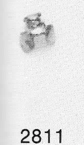 C. 2811