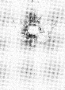 C. 2813