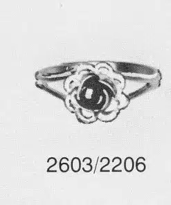 FR.C2603.2206