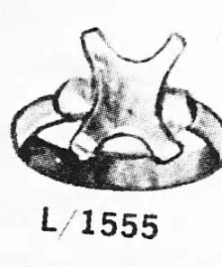 FR C. 1555
