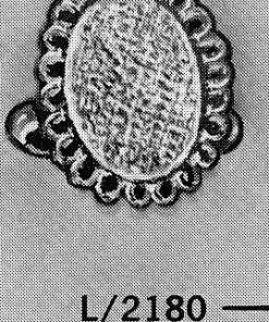 FR C. 2180