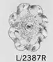 FR C. 2387