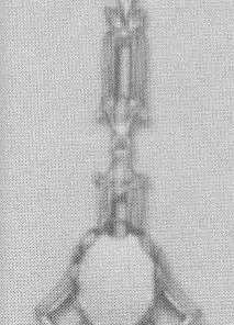 PEND C3164 L08X06MM