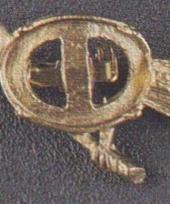 PIN P260