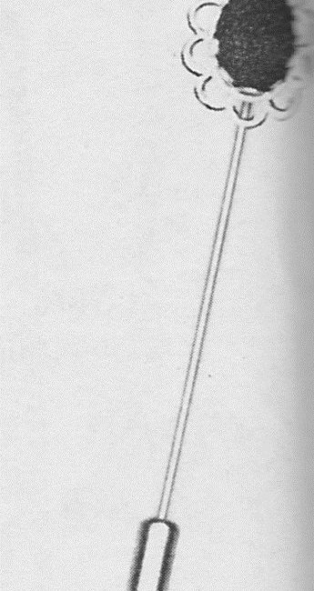 SP C2358