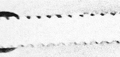 TB C1073